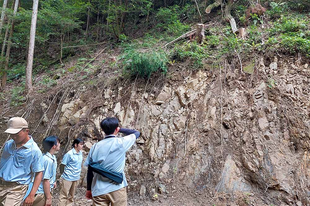 現地で危険箇所を調査する様子