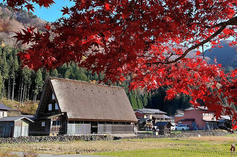 白川郷の風景(合掌造り集落)