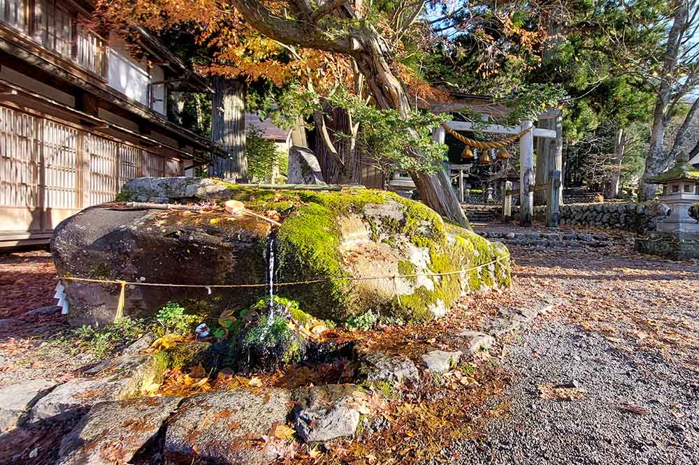 夕暮れの白川郷と参加者の後ろ姿
