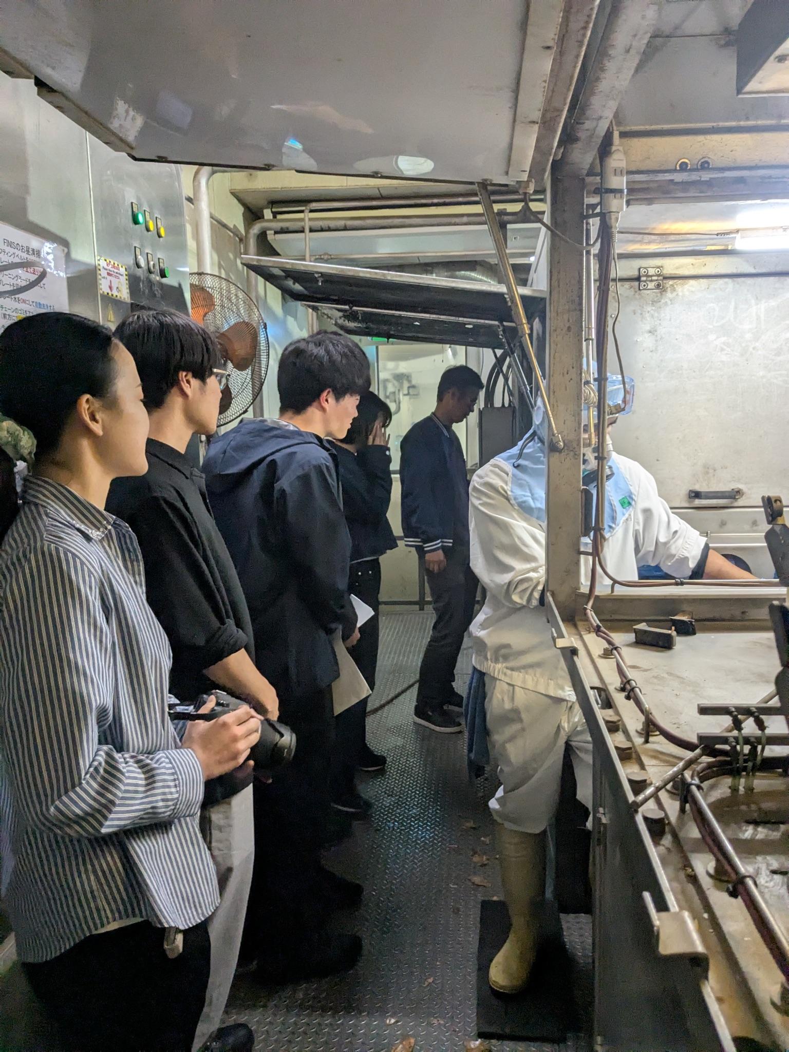 マルト商事三芳町工場で玉ねぎの皮むき加工を見学する学生