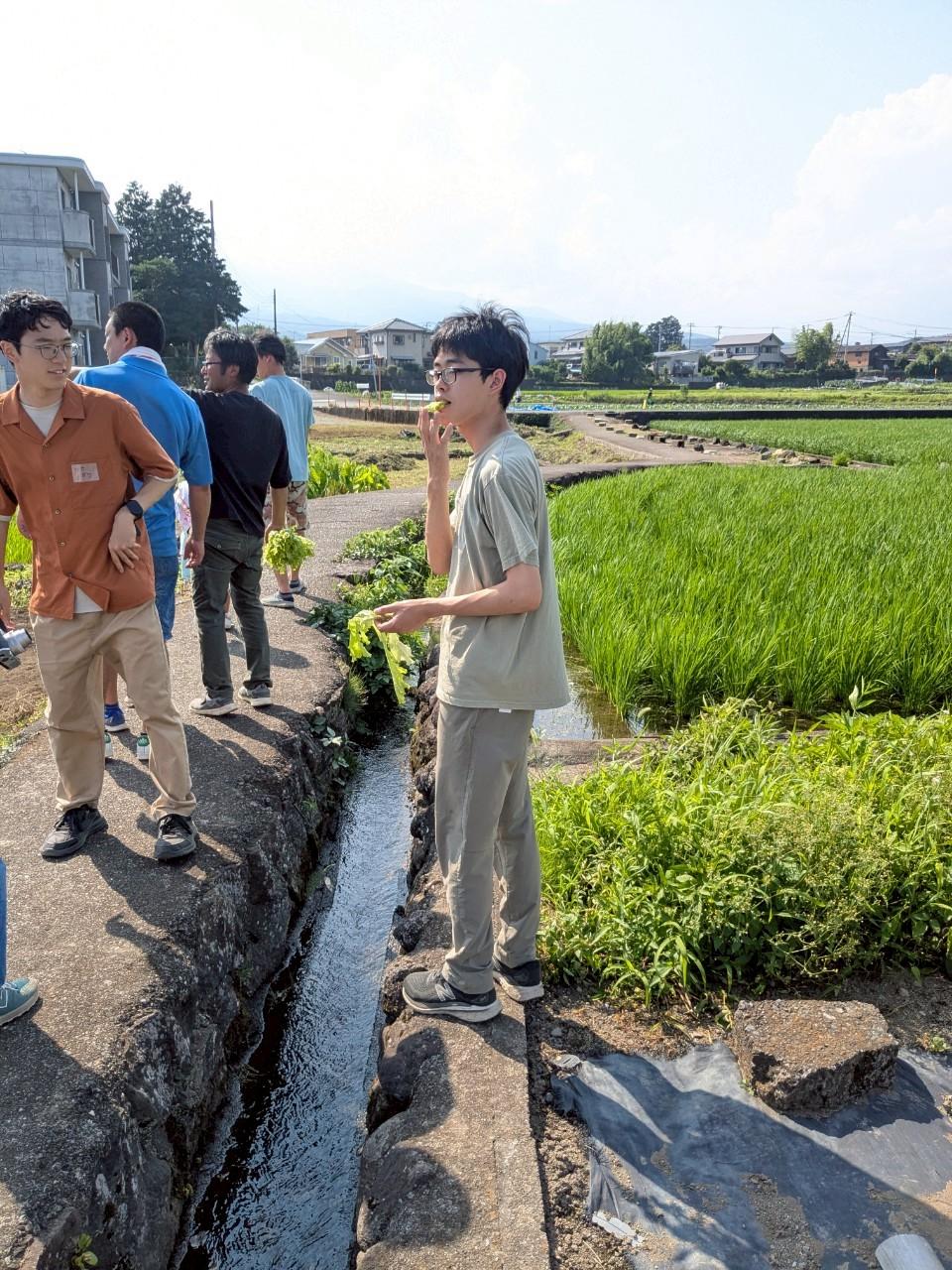 NPO法人みらい建設部の畑を見学する学生