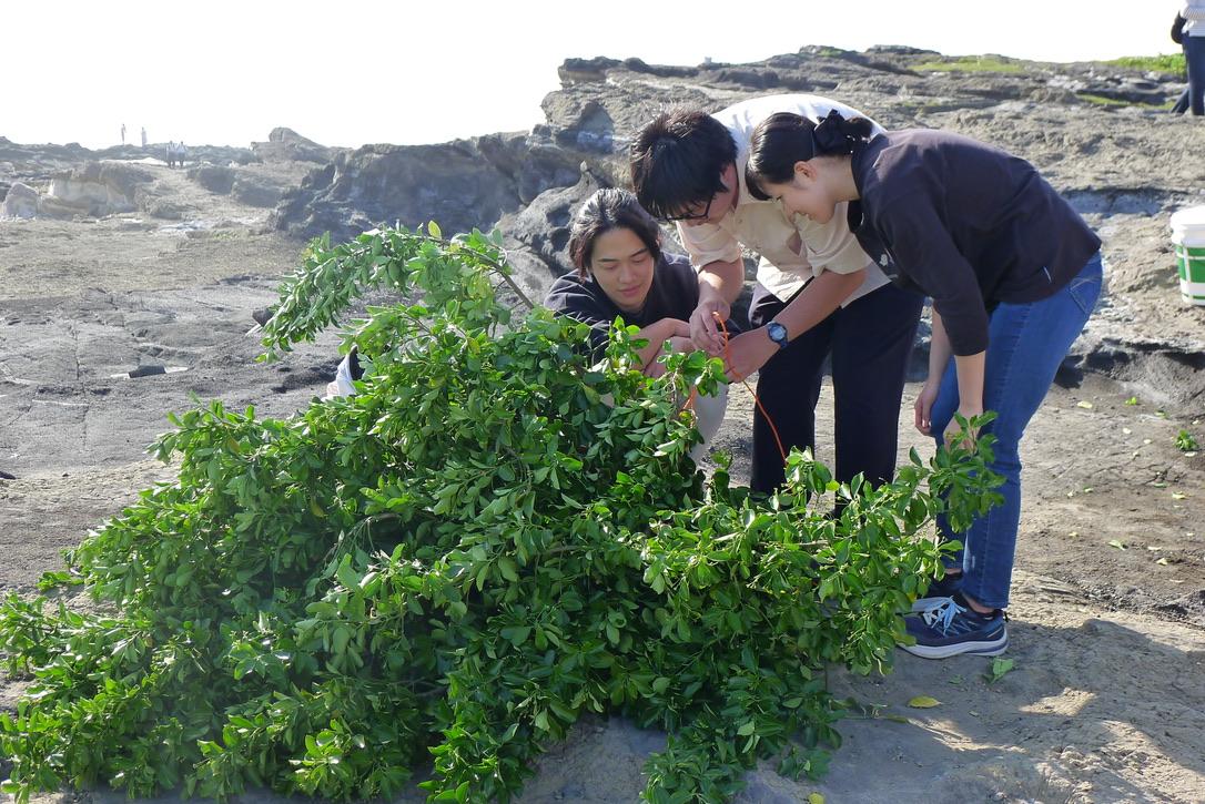 城ヶ島の海岸で海洋環境や植生を観察する学生