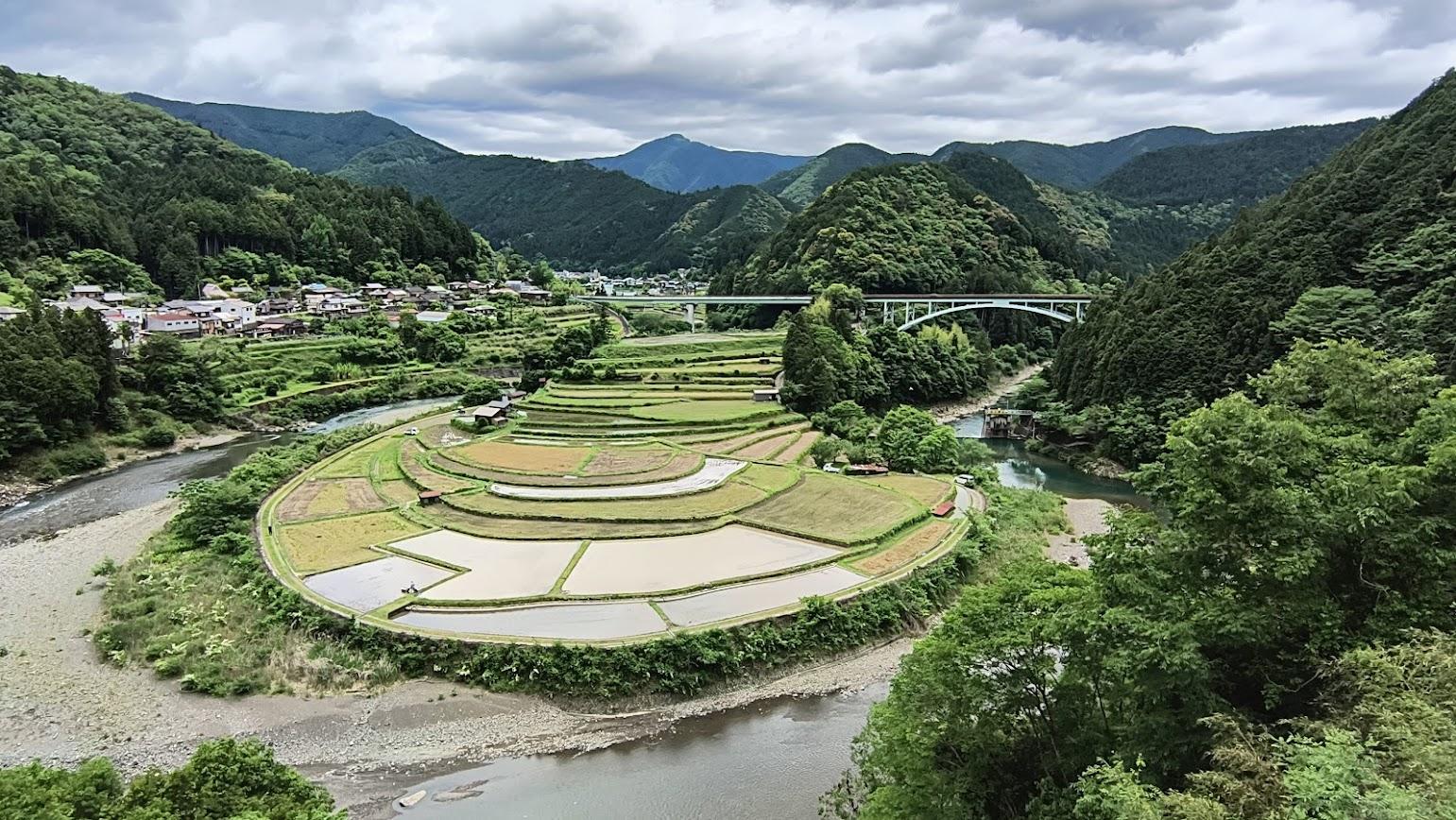 田植えの時期に水が張られた有田川町の棚田あらぎ島