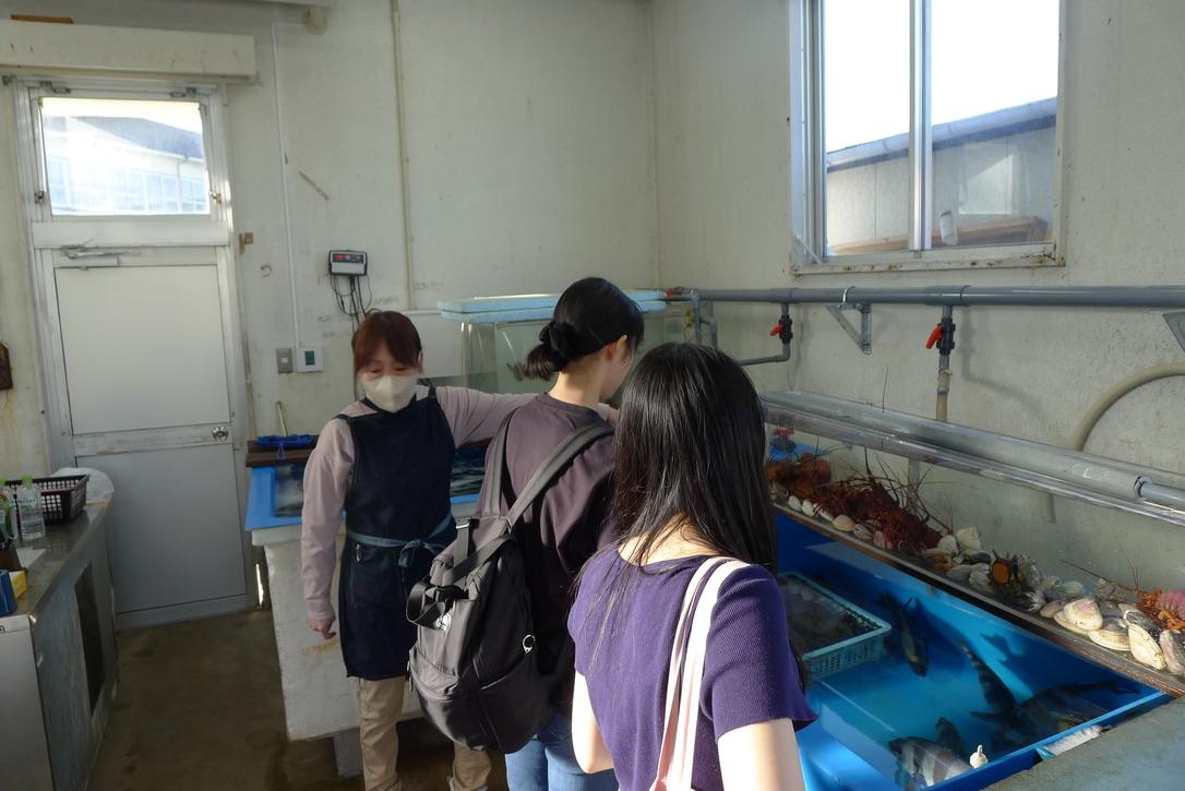 城ヶ島おさかな市場の生簀や商品を見学する学生