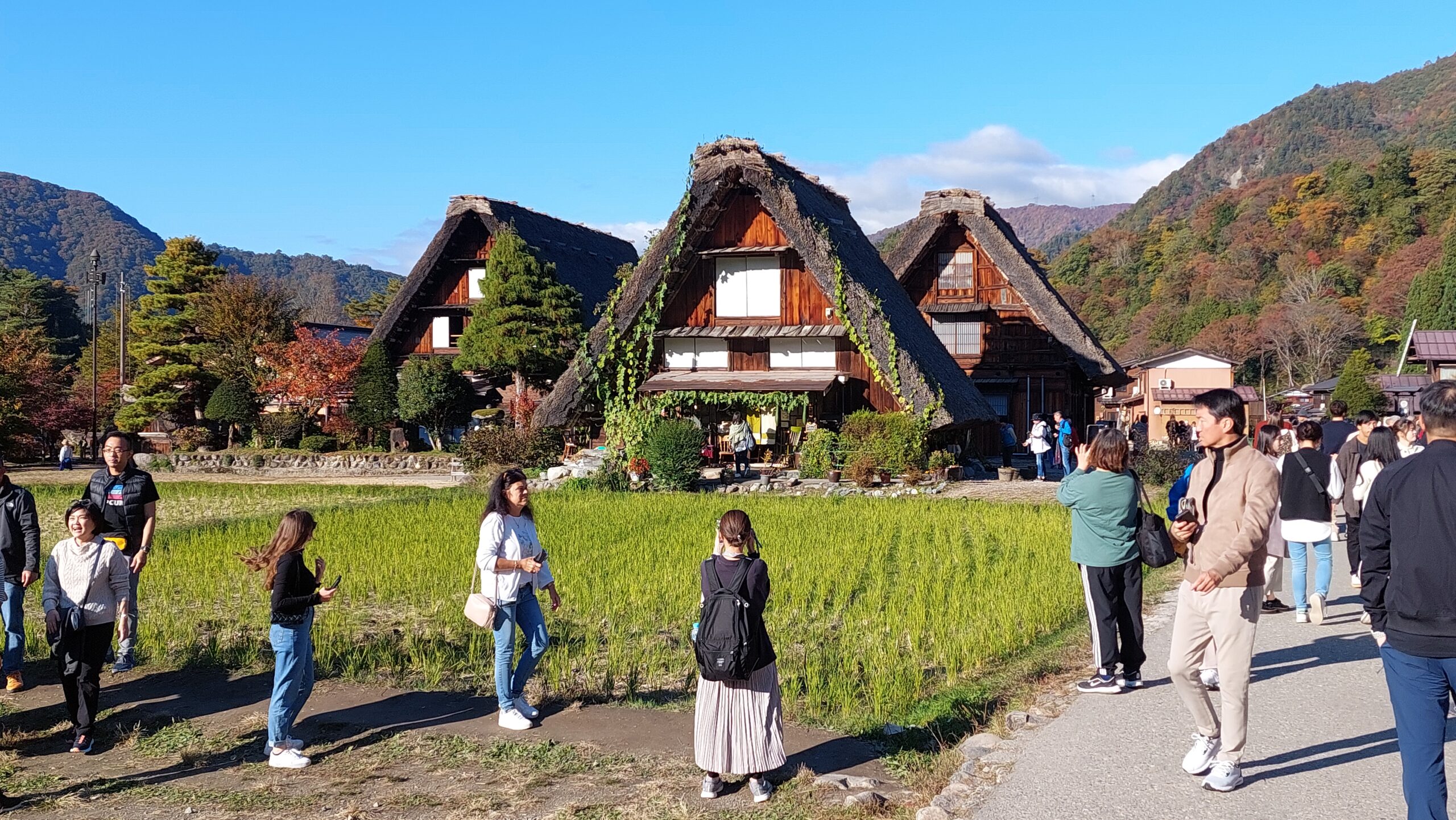 白川郷のフィールドワークで地域を歩く参加者