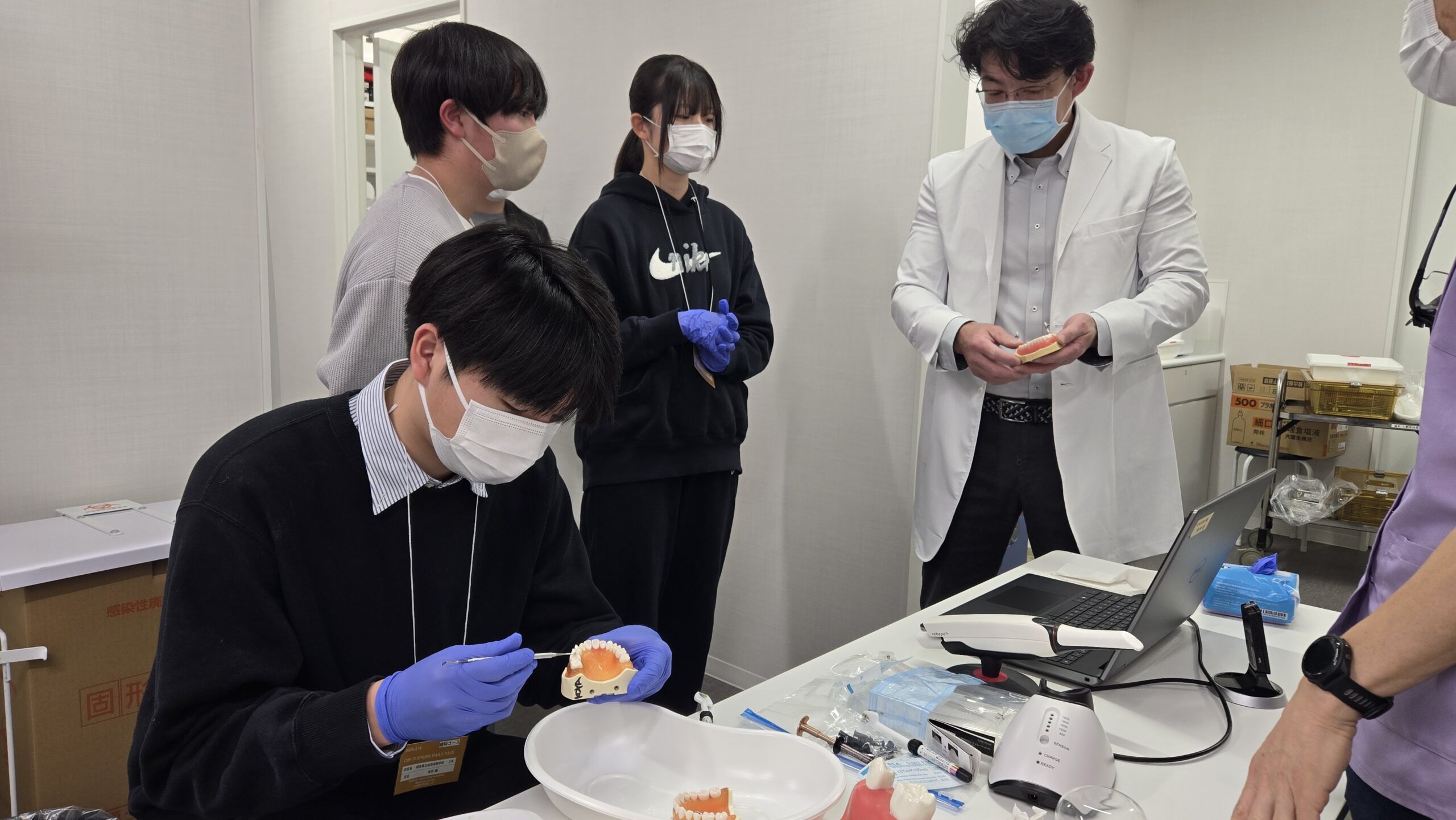歯科用の機器を使って歯の模型を観察する高校生