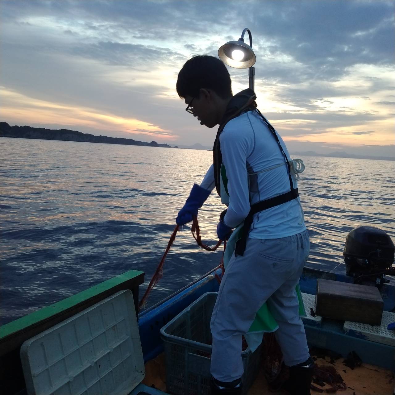 早朝の三浦の海で刺し網漁を体験する学生