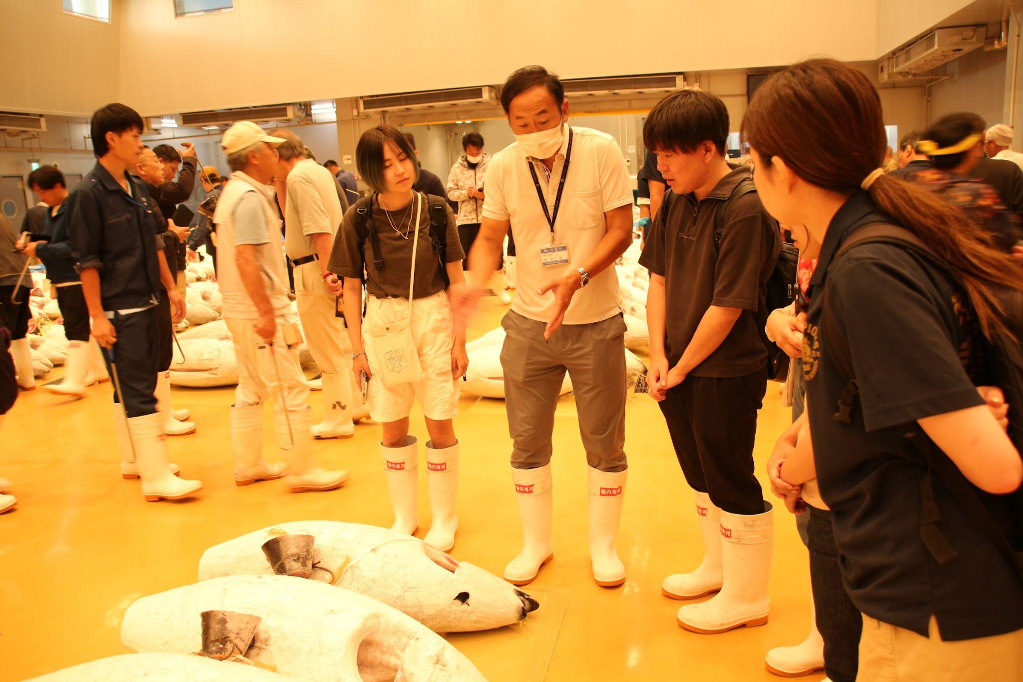 みさき魚市場に並ぶ冷凍マグロを見学する参加者
