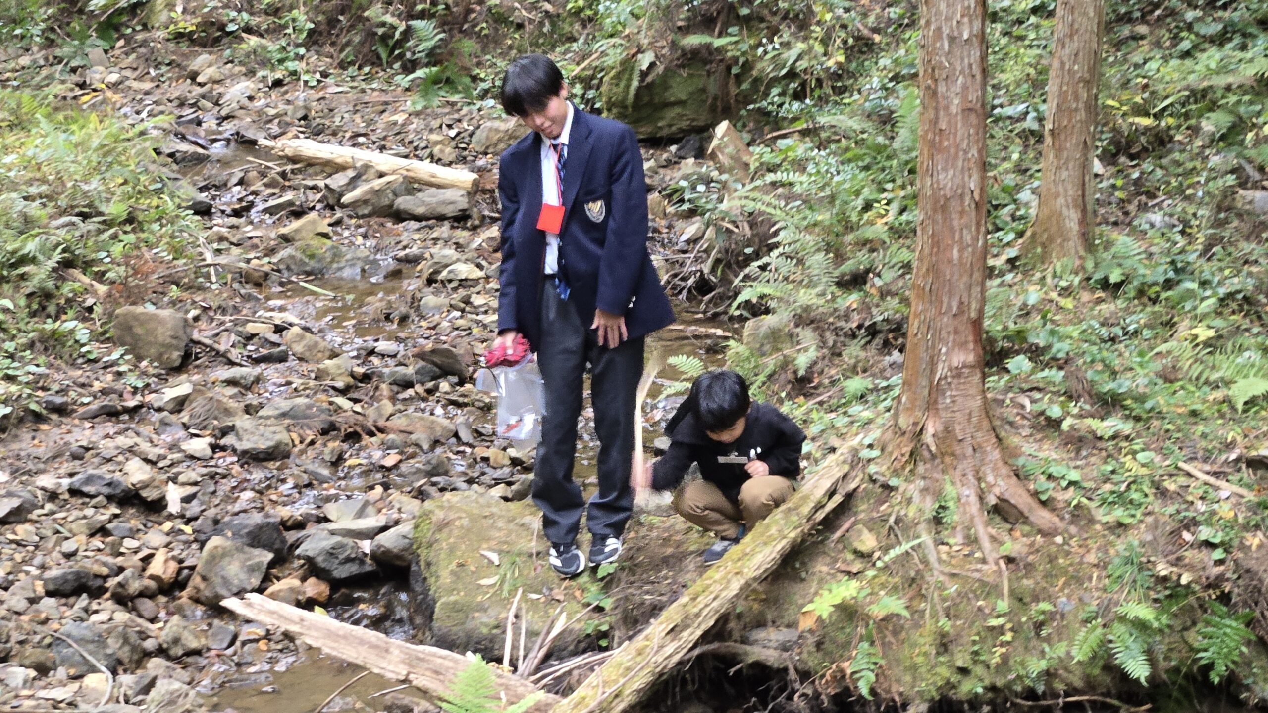 三和小学校近くの林道を小学生と高校生が一緒に歩く様子