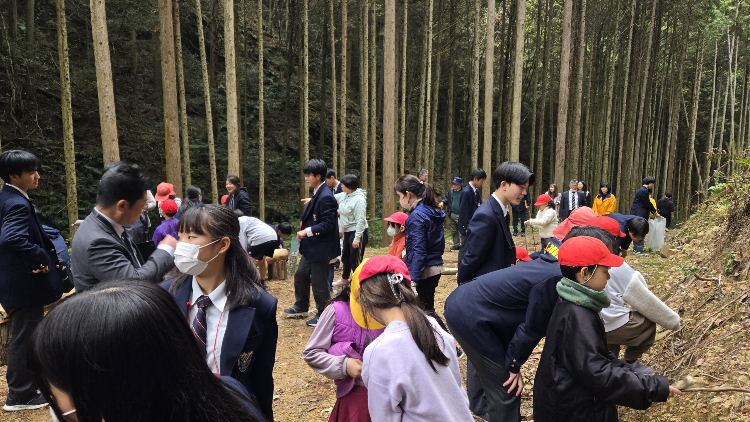 林道を歩きながら周囲の自然を観察する高校生と小学生