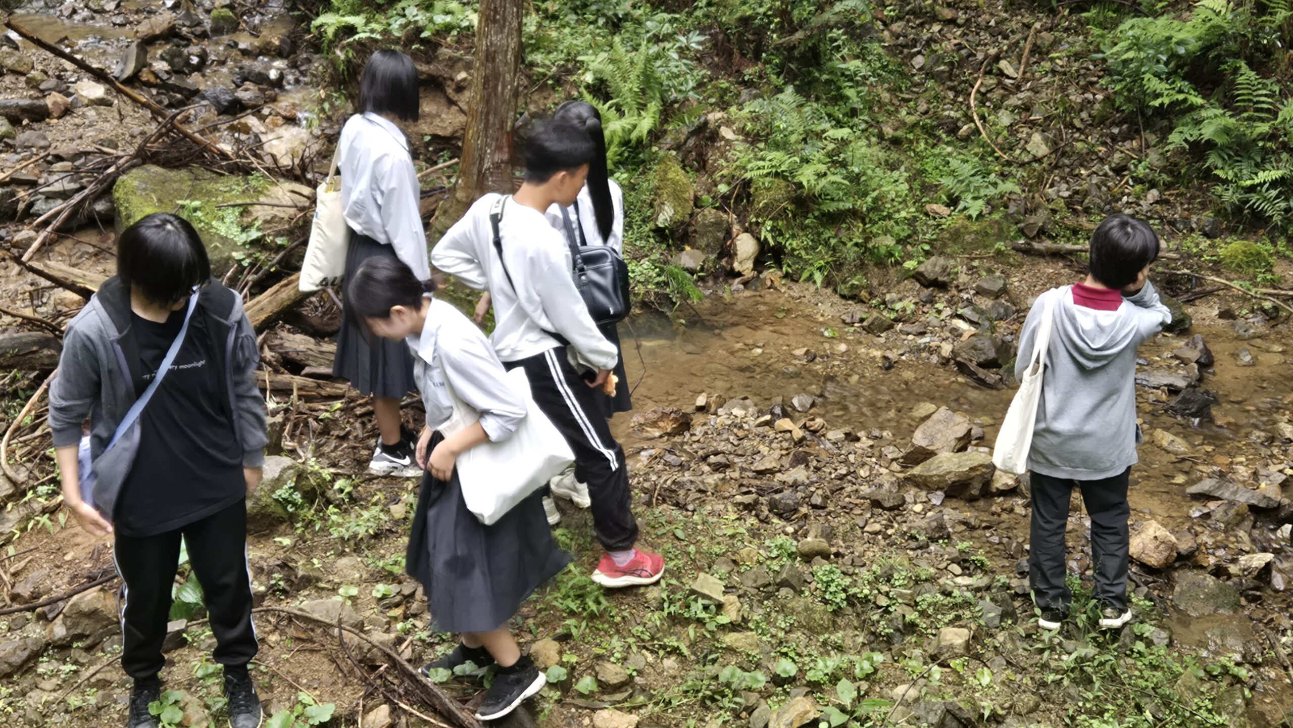 三和富士山道の沢付近で水辺や周辺の自然を観察する高校生たち