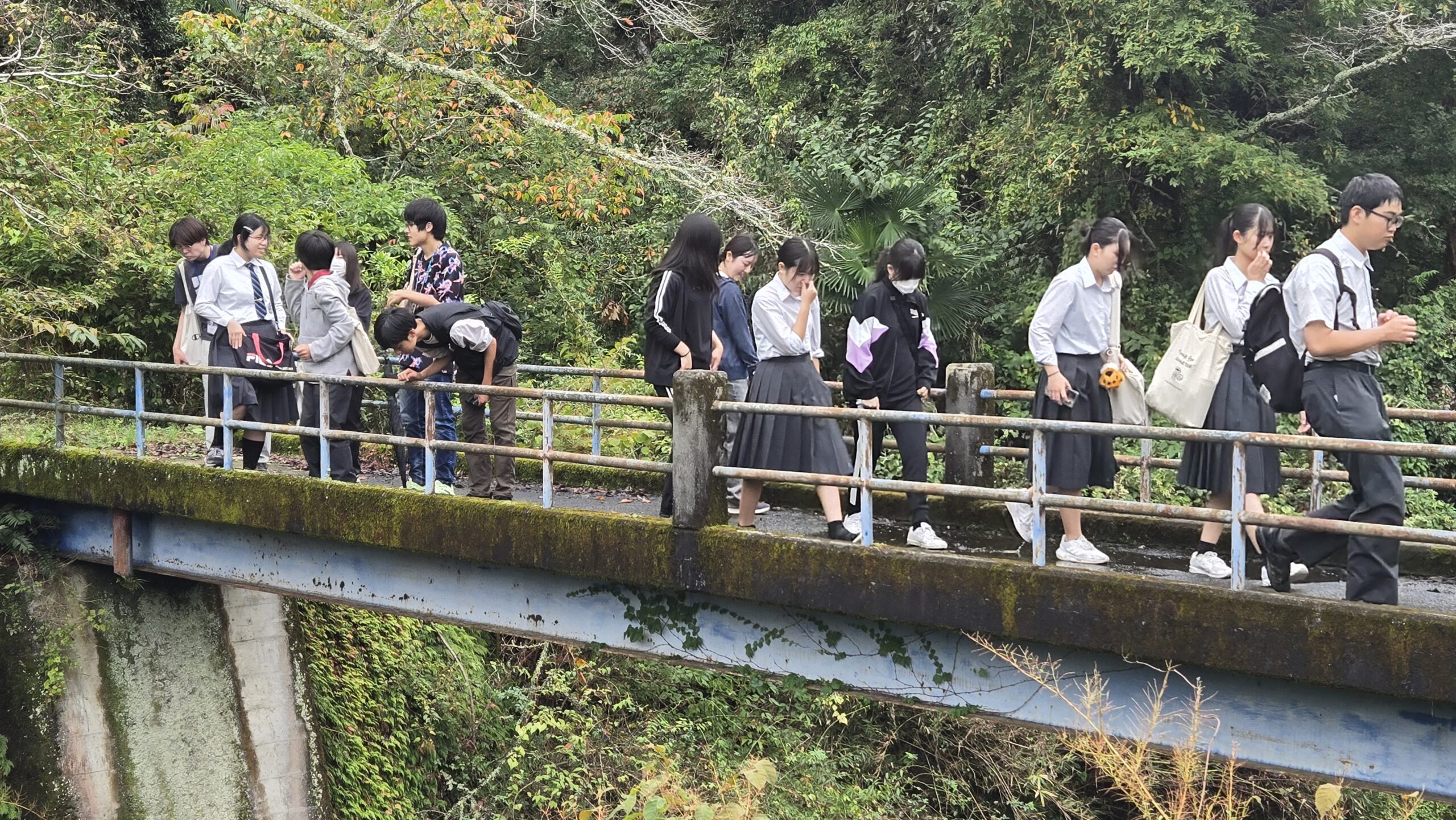 三和富士山道の橋を歩きながら現地の動線を確認する高校生たち