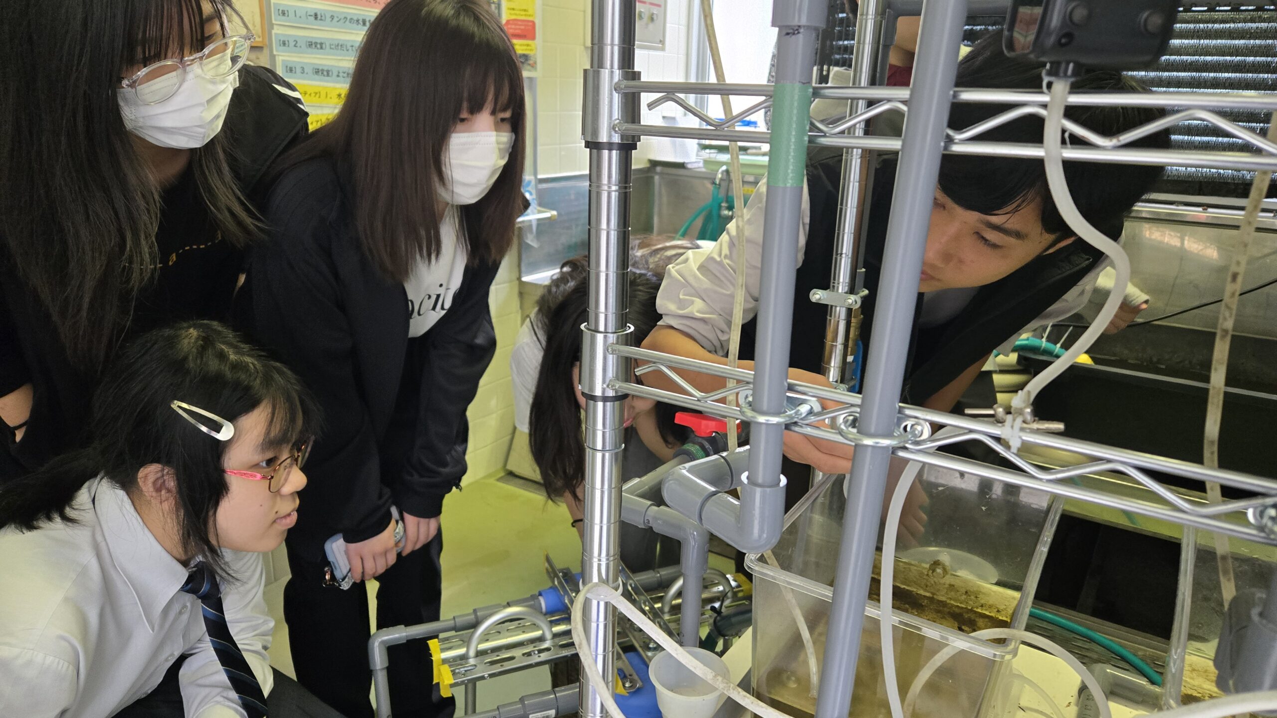 三和小学校でホタルの飼育設備を見学する高校生たち