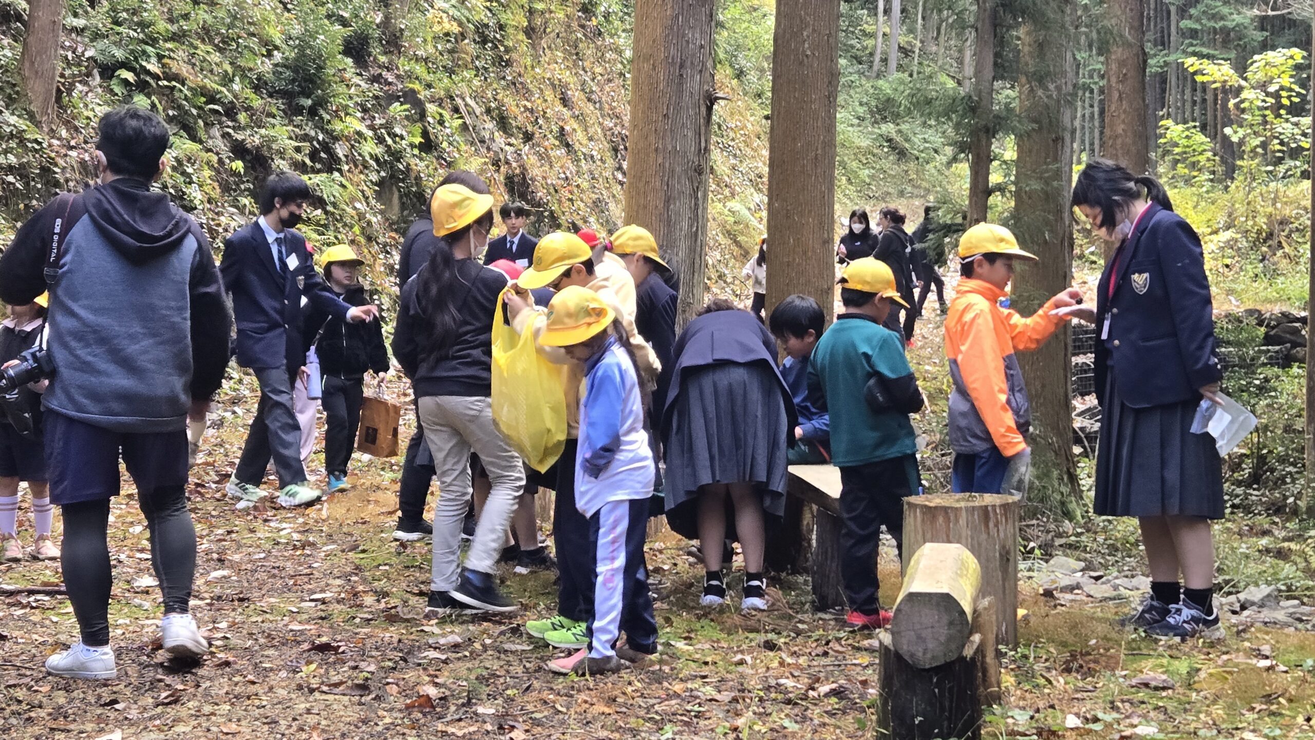 林道で高校生と小学生が自然物を探している様子
