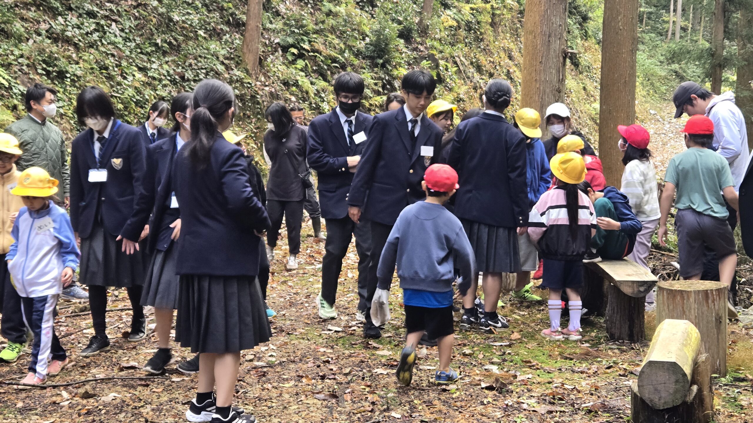林道で高校生と小学生が一緒に観察している様子